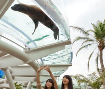 Penguins 'Fly' Through the Skies at Tokyo's Sunshine Aquarium!