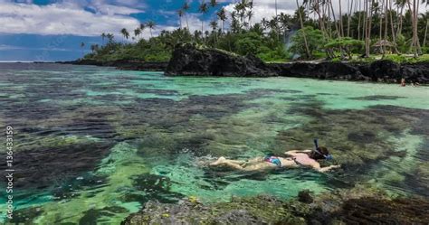 Young woman snorkeling over coral reef on a tropical island Stock Video ...