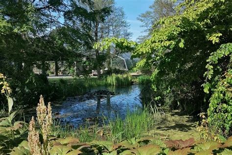 University of Dundee Botanic Garden – VisitScotland Travel Trade