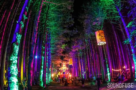 Electric Forest Festival, Rothbury Michigan | Electric forest festival ...