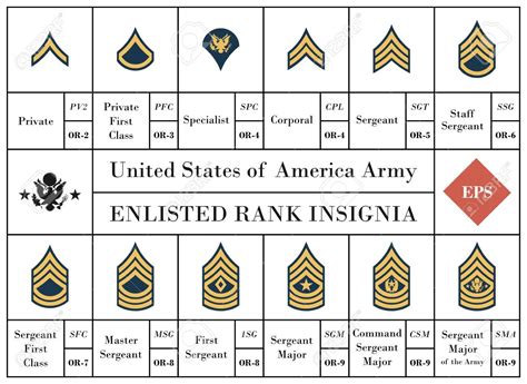 Us Military Us Military Rank Insignia | Images and Photos finder