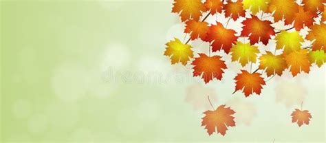 Autumn Leaves Banner stock photo. Image of fall, banner - 125829630