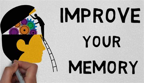 4 Memory Techniques for Successful Study Sessions - lifeberrys.com