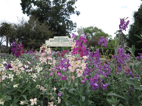 Horsham Botanic Gardens entrance Spring 2014. | Garden entrance, Garden show, Botanical gardens