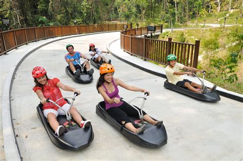 Skyline Luge Sentosa - Singapore Family Fun on Sentosa Island – Go Guides