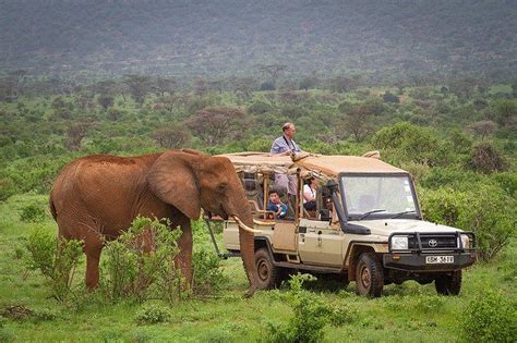 Why Should You Choose a Jeep Safari in Kenya? - BookAllSafaris.com