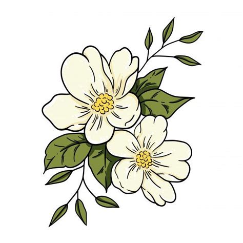 Vector Illustration Jasmine Flower | Flower illustration, Jasmine flower tattoos, Flower painting