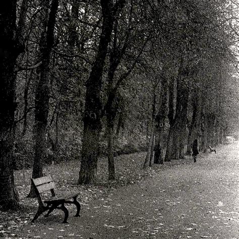 Lonely, Photography by Tudor Gafton | Artmajeur