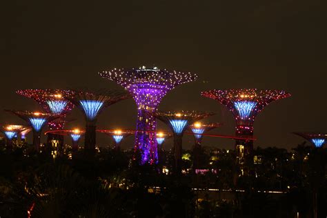 Garden By The Bay Night View Free Stock Photo - Public Domain Pictures