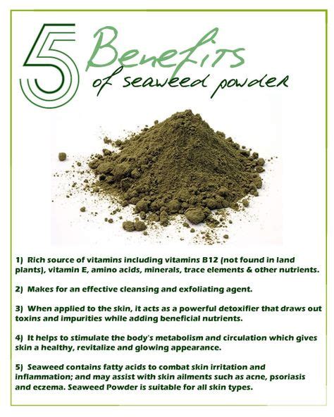 7 Best Kelp powder benefits ideas | kelp powder, seaweed, health benefits