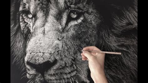 Hyperrealistic Lion Drawing/ Time-lapse | Dessin, Colorier, Animaux