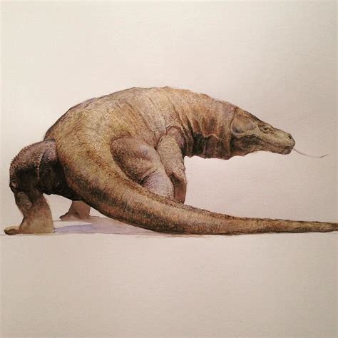 Ellen Barkin Söderholm on Instagram: “Komodo dragon, water color study. #komododragon # ...