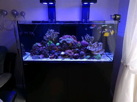 Red sea 350 aquarium / fish tank full set-up | in Newport | Gumtree