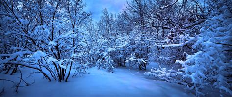 Winter Night 3440x1440 Wallpapers - Wallpaper Cave