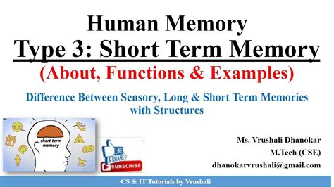 Short Term Memory Examples