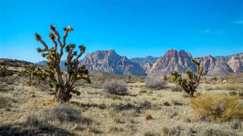 Red Rock Canyon vs Valley of Fire - Three Days In Vegas