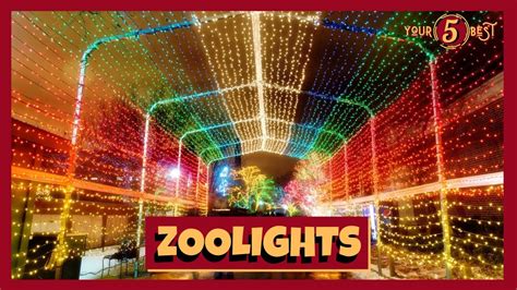 CHICAGO ZOO LIGHTS at Lincoln Park Zoo Drone Video - YouTube