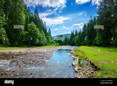 river in the mountain landscape. beautiful nature scenery with water flow among the forest ...