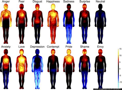 Where Your Body 'Feels' Emotions Revealed In New Study (VIDEO) | HuffPost