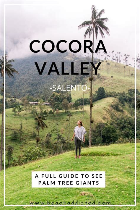 Cocora Valley, Salento: A full guide to hike Valle de Cocora