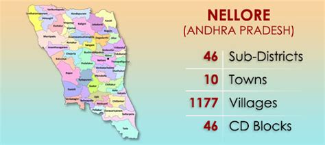 LATEST NEWS IN NELLORE ~ AP OVERVIEW