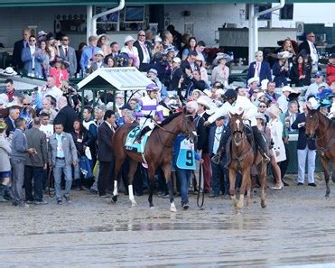 Irap - Horse Profile - BloodHorse