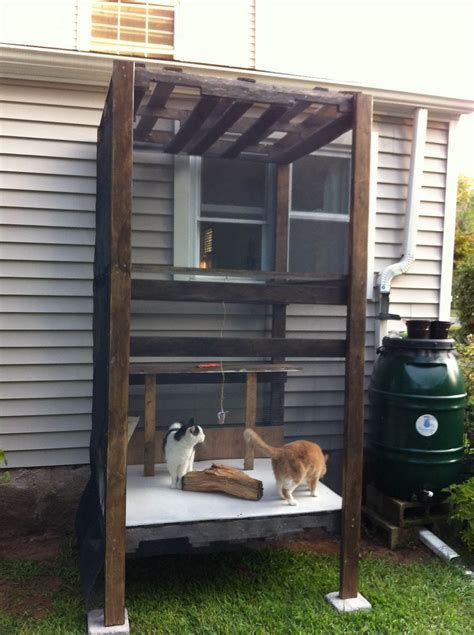 Image result for Affordable Outdoor Cat Enclosures | Cat enclosure, Cat cages, Outdoor cat enclosure