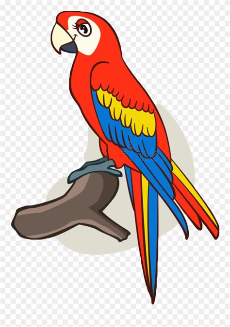 Parrot Picture Drawing | Free download on ClipArtMag