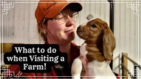 New Babies and Farm Safety Tips! - YouTube