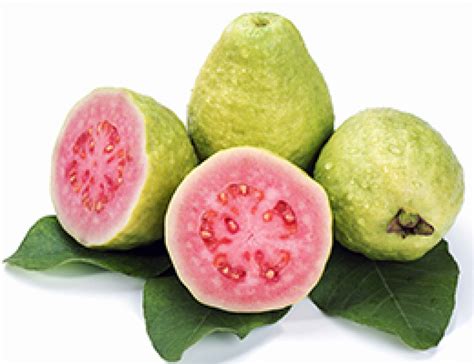 About red guava - Brooks Tropicals