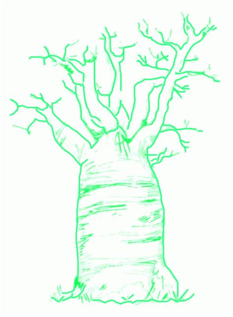 Baobab Tree Drawing at GetDrawings | Free download