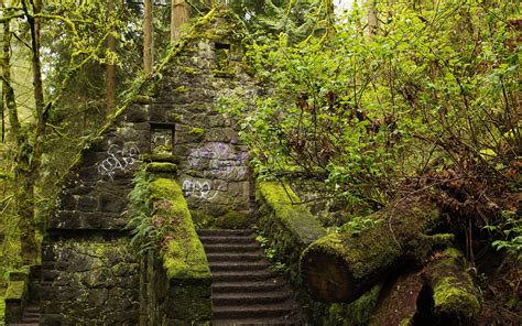 Fonds d'ecran 3840x2400 USA Forêts Forest Park Portland Oregon Escalier Bryophyta Nature ...