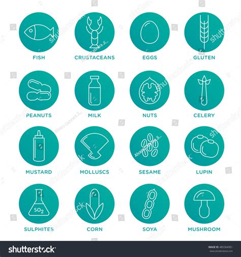 Allergen Icons Vector Set Food Allergens Stock Vector (Royalty Free) 485364901 | Shutterstock