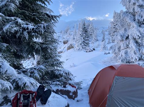 Winter Camping in Paradise Park, Mount Hood, Oregon : r/CampingandHiking