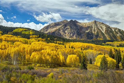 Colorado Rocky Mountain Fall Foliage Photograph by James BO Insogna - Fine Art America