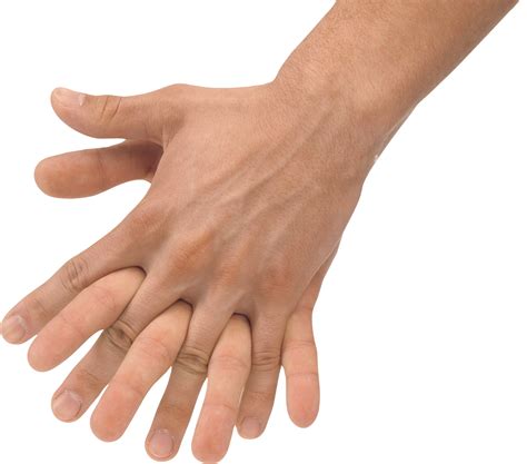Hands PNG, hand image free