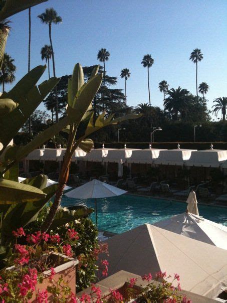 I Love L.A. | Beverly Hills Hotel Pool | Photo by Paloma Contreras for #LaDolceVita WAS here but ...