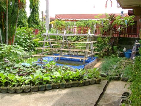 Vegetable Garden Design In The Philippines Small Yard Container Gardening To B… | Small garden ...