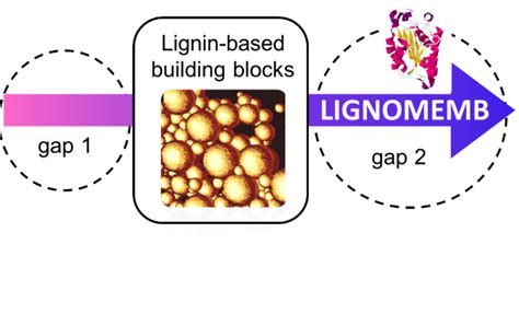 Biocatalytic membranes based on lignin nanoparticles - Stockholm University