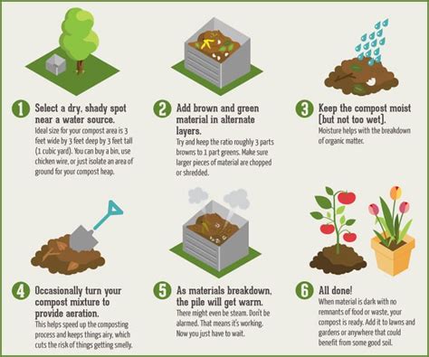 Compost and why it's important - Grass Factory