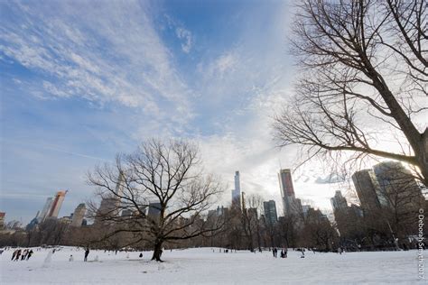 Snowy Central Park – Travel with Intent