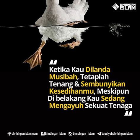 Pin oleh Nasihat Sahabat di Motivasi, Nasihat & Bimbingan Islami | Islamic quotes, Kata-kata ...