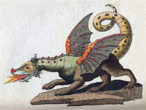 Are Dragons Real? Dragon Myths and Facts | HubPages