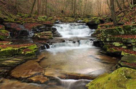 Free picture: nature, landscape, creek, waterfall, river, stream, water ...