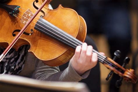 Viola | Princeton Symphony Orchestra