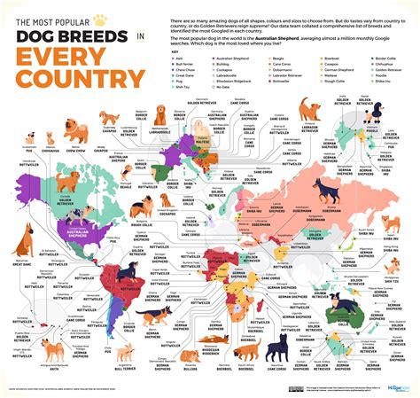 The Most Popular Dog Breed in Every Country | Dog breeds, Most popular dog breeds, Popular dog ...