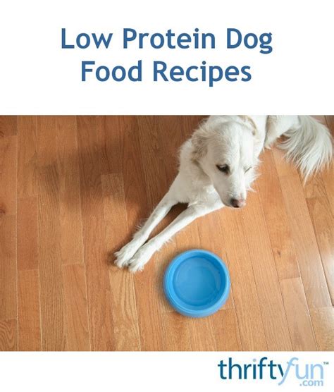 Low Protein Dog Food Recipes | ThriftyFun