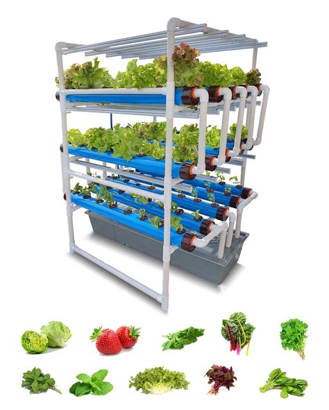 Buy Pindfresh Hydroponics Kit for Home or Office - The Tashi Pro Indoor ...