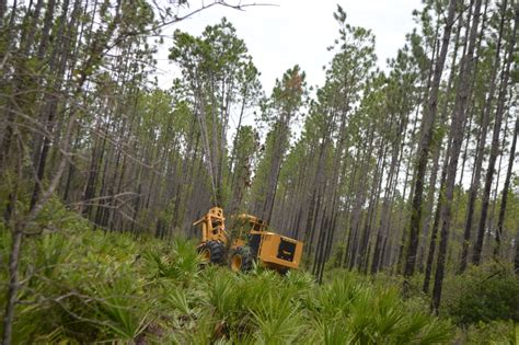 Timber Harvesting Equipment > College Of Central Florida