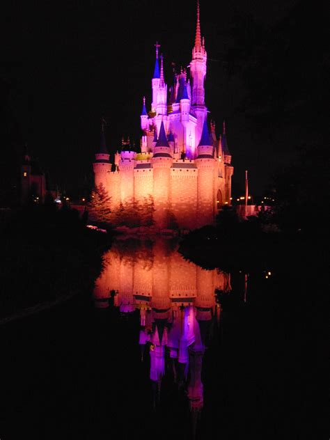 Cinderella Castle at night. Magic Kingdom. Walt Disney World @fotosfromthefloor | Walt disney ...